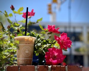 Lasaters Coffee and Tea